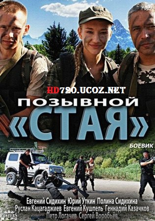 Позывной Стая смотреть онлайн 1, 2, 3, 4 серия (все серии 2013)